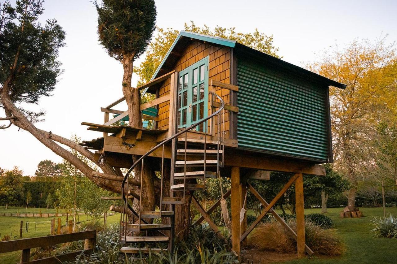 Tui Ridge Eco Cabins Aongatete Exterior foto