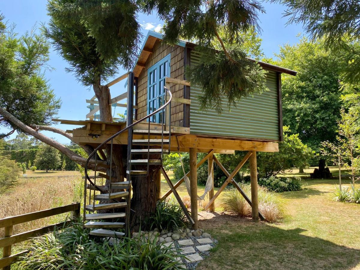 Tui Ridge Eco Cabins Aongatete Exterior foto